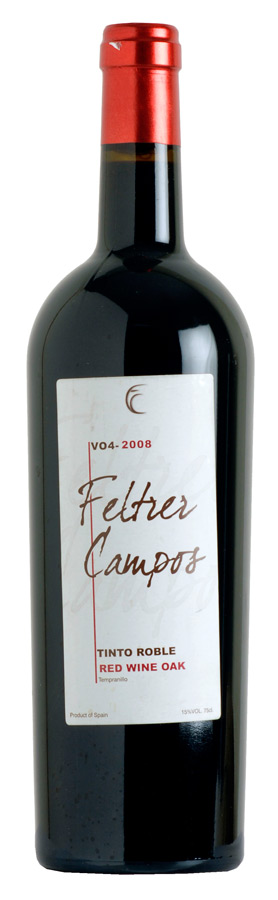 Feltrer-Campos V04