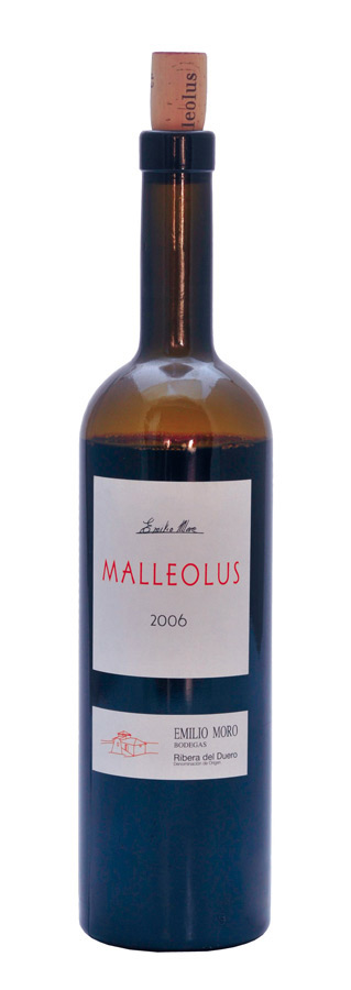 Malleolus