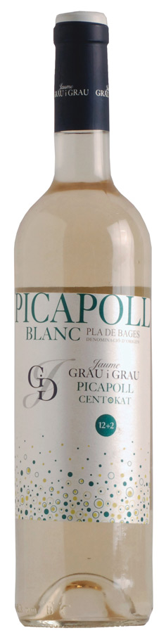 Picapoll Blanc