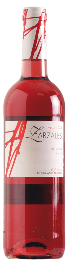 Vega los Zarzales