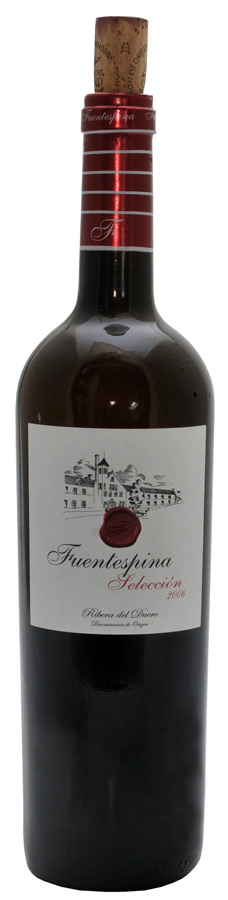 Fuentespina Selección