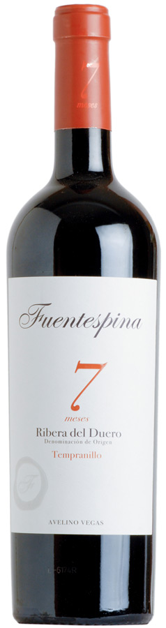 Fuentespina 7