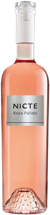Nicte Rosa Pálido