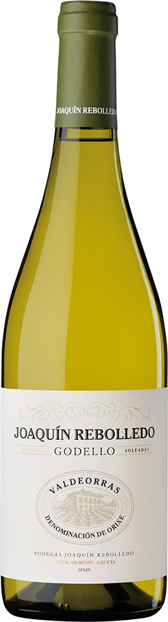 Joaquín Rebolledo Godello