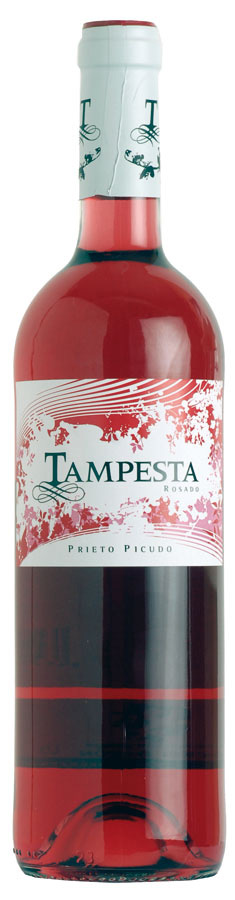 Tampesta