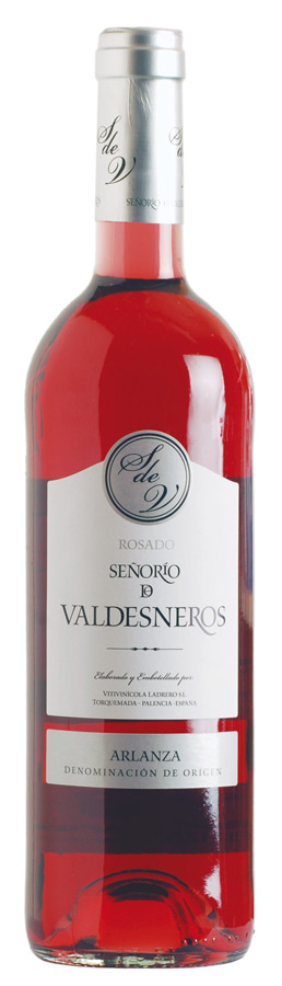 Señorío de Valdesneros