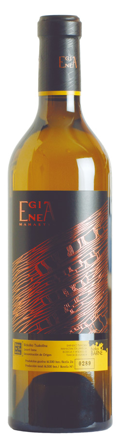 Egia Enea