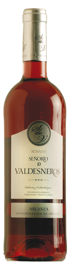 Señorío de Valdesneros